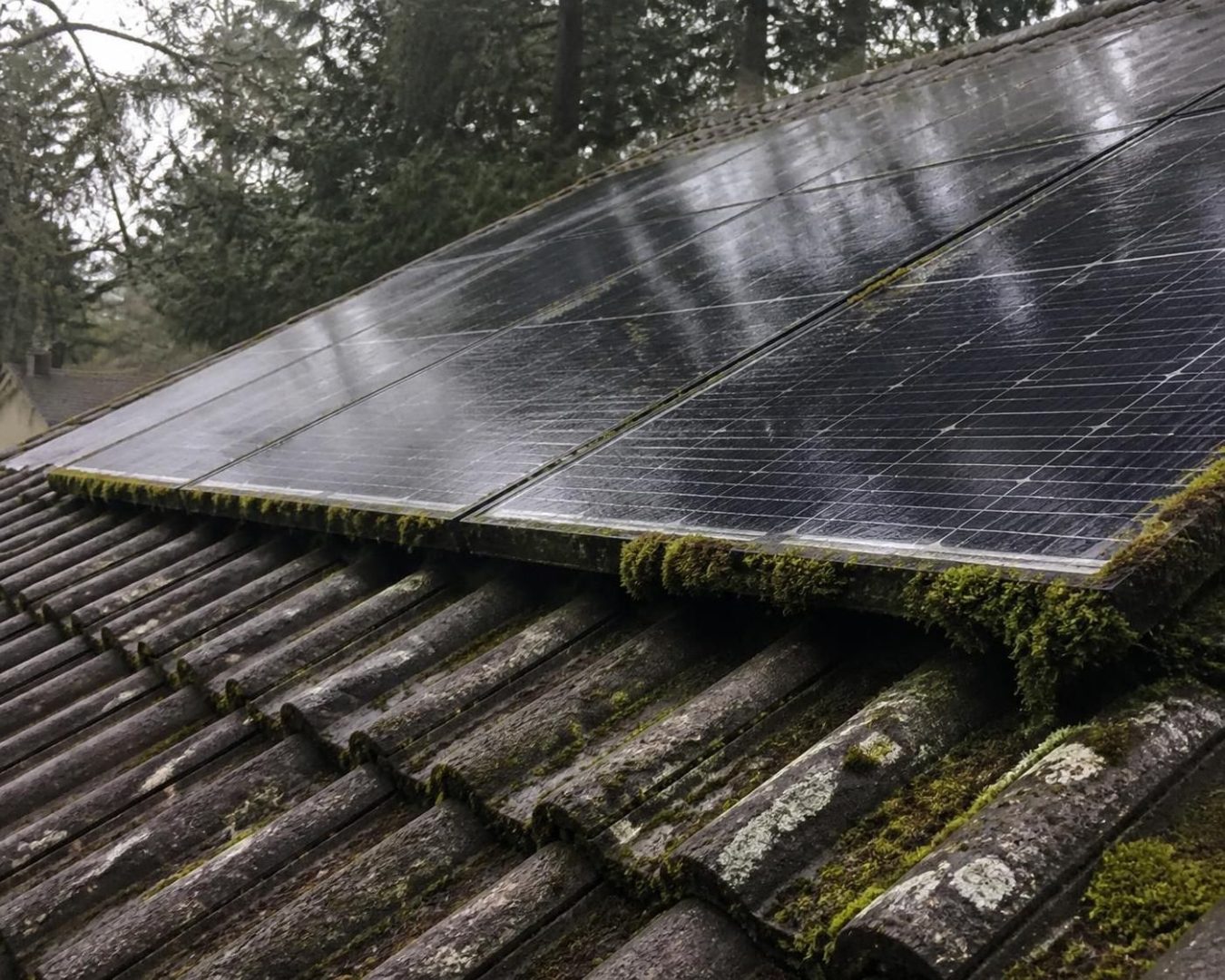 découvrez des conseils pratiques et astuces efficaces pour prévenir l'apparition de mousse autour de votre installation photovoltaïque et garantir son bon fonctionnement durable.